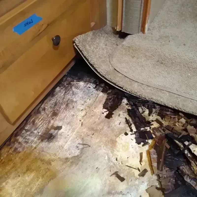 Wood Floor Water Damage in Paloma Creek South, TX